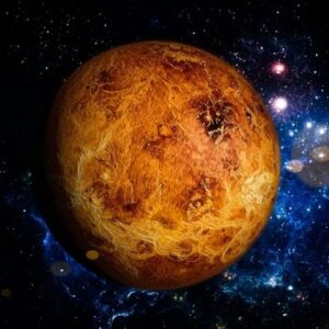 Natal Venus Report
