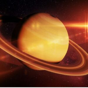 Natal Saturn Report 