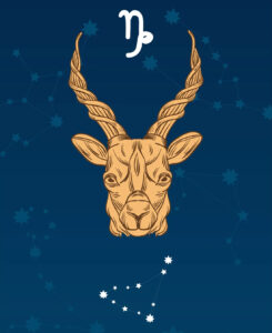 capricorn